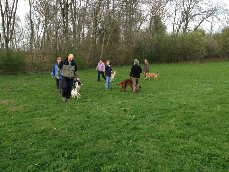 Entraînements printemps 2014 – photo 6