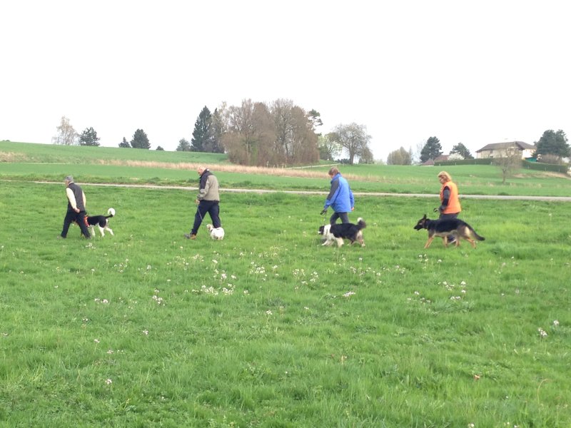 Entraînements printemps 2014 – photo 8