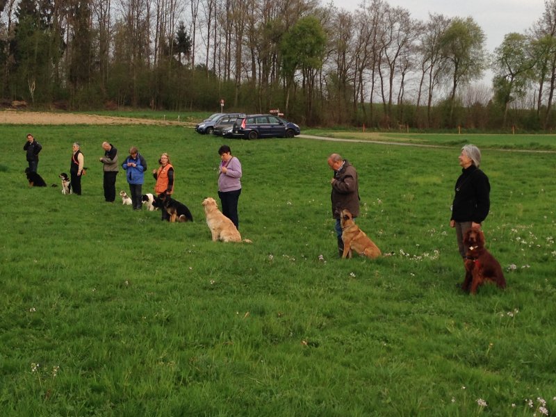 Entraînements printemps 2014 – photo 9