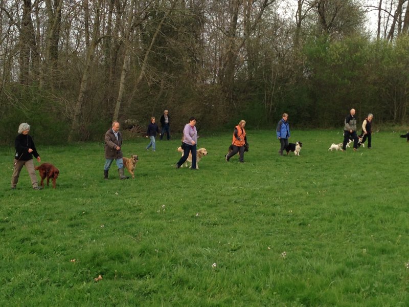 Entraînements printemps 2014 – photo 10