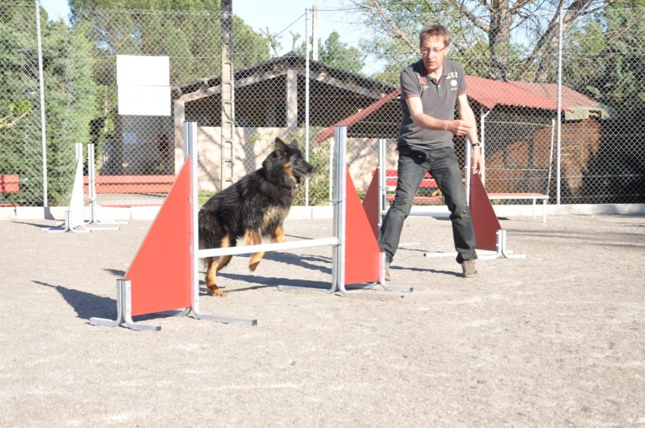 Gaujac – Entraînement 2014 – photo 16
