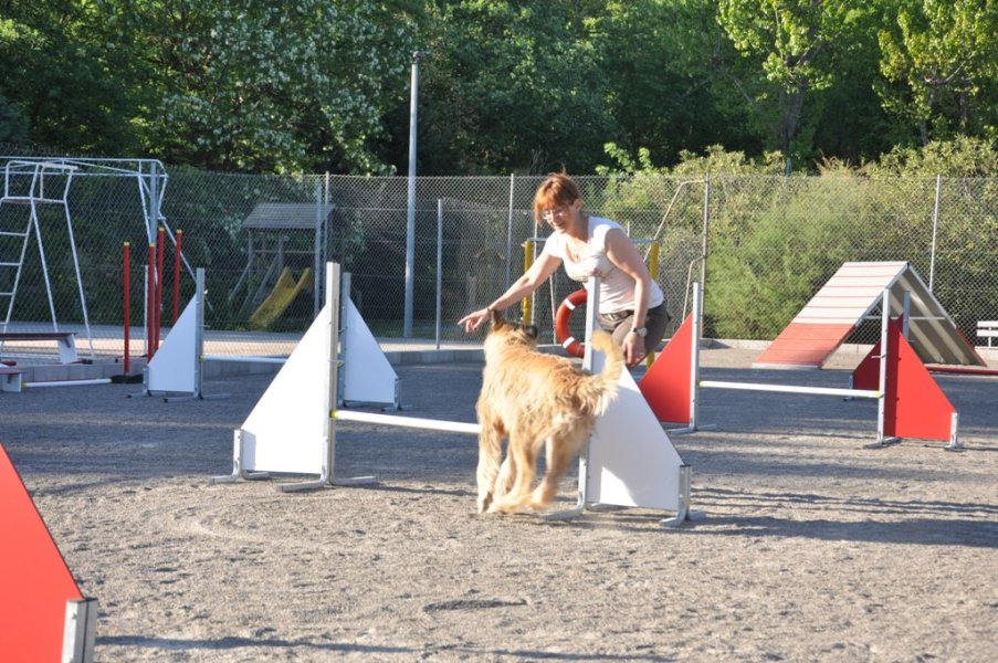 Gaujac – Entraînement 2014 – photo 22
