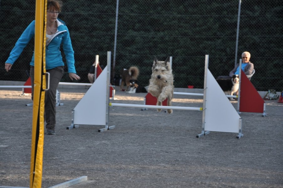 Gaujac – Entraînement 2014 – photo 23