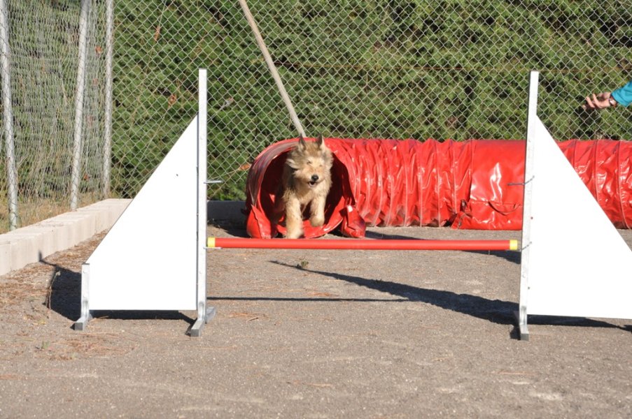 Gaujac – Entraînement 2014 – photo 25