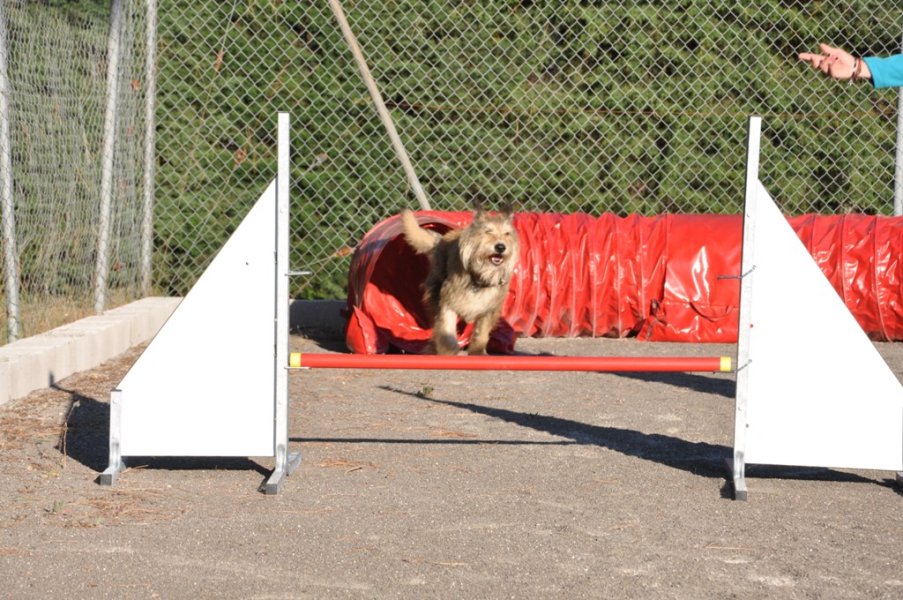 Gaujac – Entraînement 2014 – photo 26