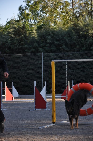 Gaujac – Entraînement 2014 – photo 28