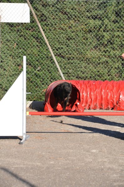 Gaujac – Entraînement 2014 – photo 29