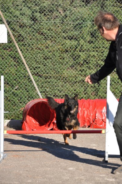 Gaujac – Entraînement 2014 – photo 30