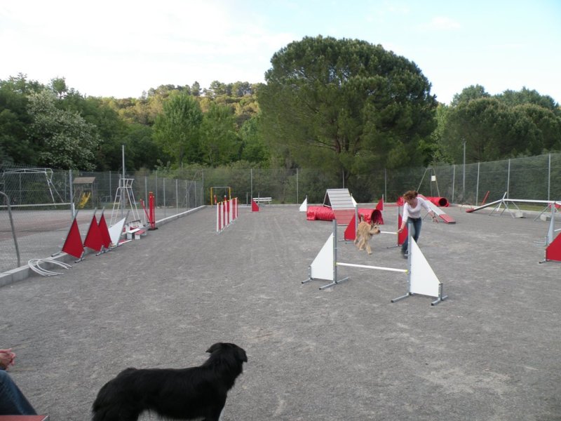Gaujac – Entraînement 2014 – photo 39