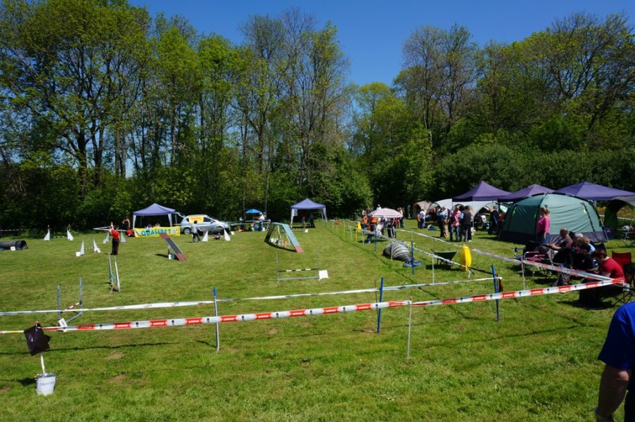 5 mai CECNF 2014 – photo 3