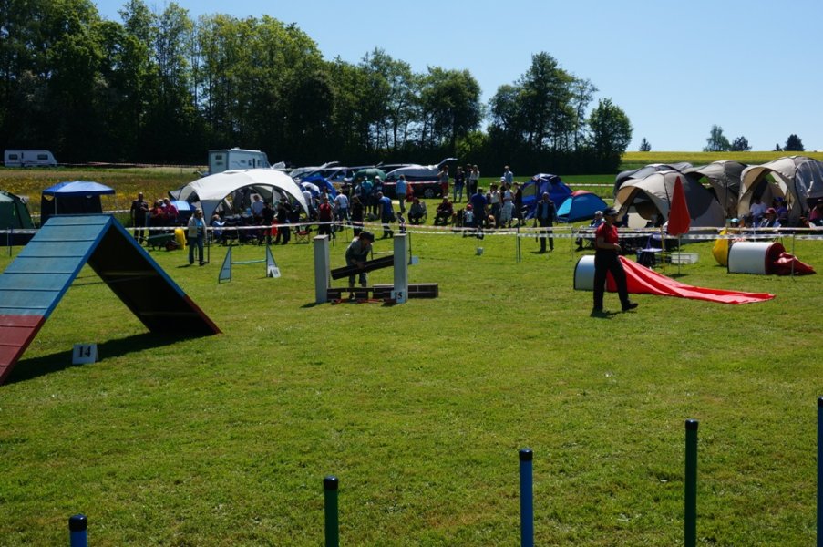 5 mai CECNF 2014 – photo 6