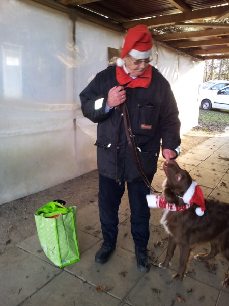 Noël 2014 – photo 2