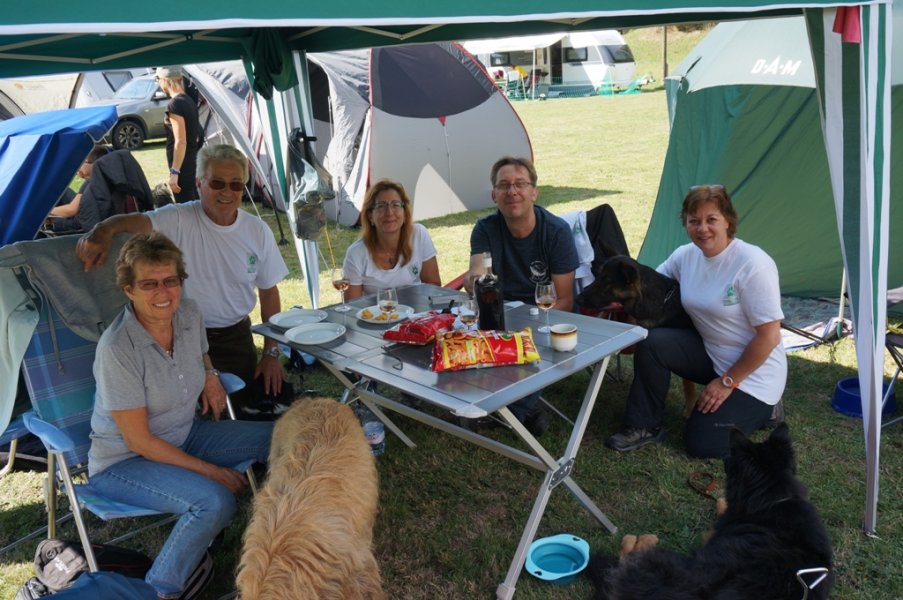 Championnat suisse agility 2015
