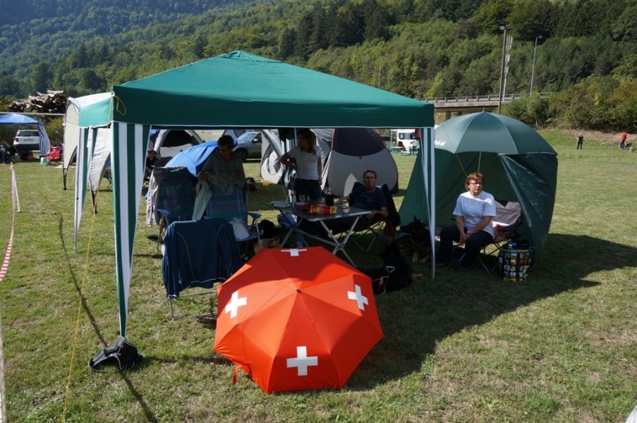 Championnat suisse agility 2015 – photo 2