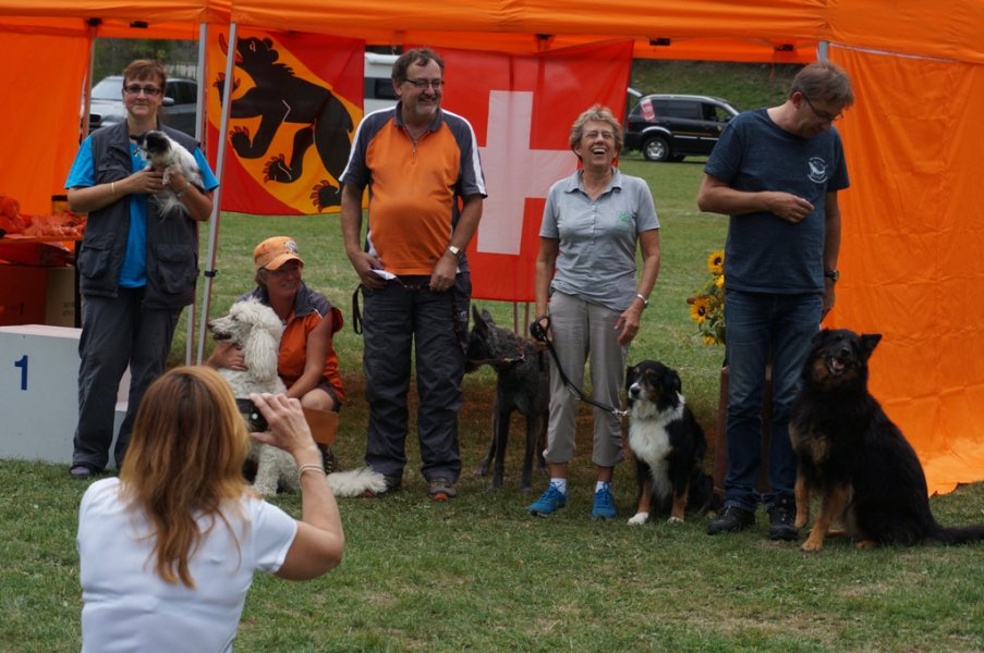 Championnat suisse agility 2015 – photo 4