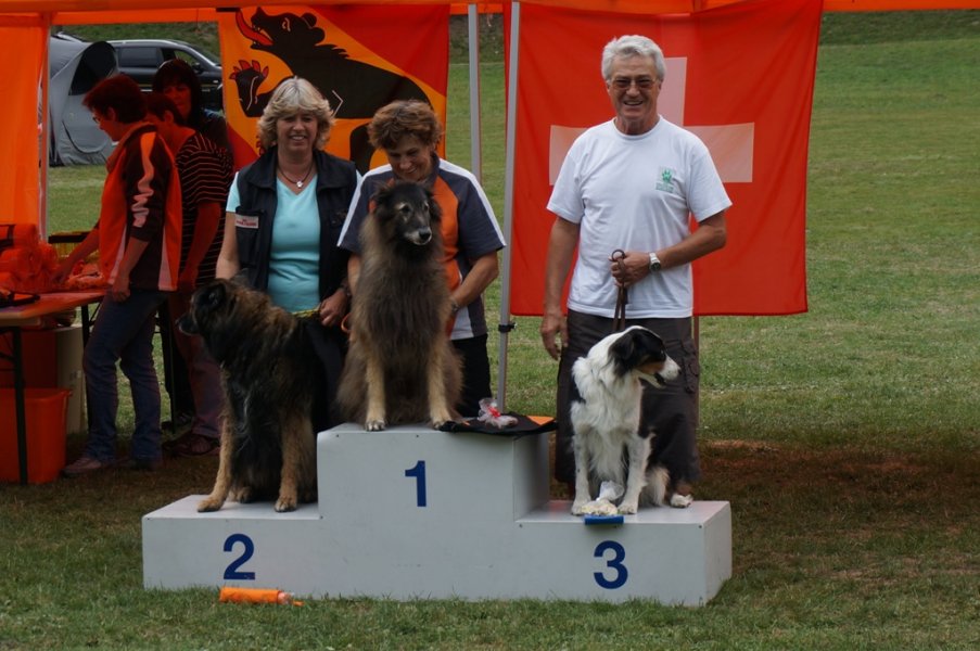 Championnat suisse agility 2015 – photo 5