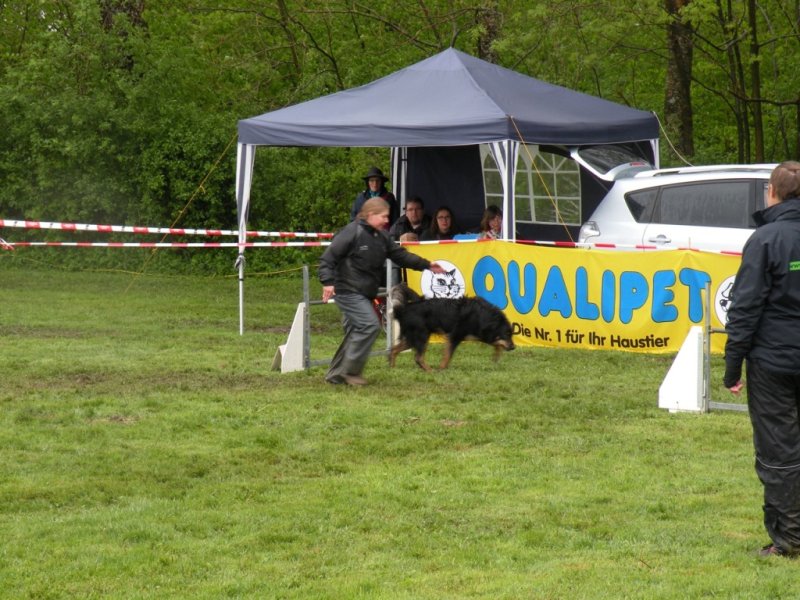 Concours agility 2015 – photo 3