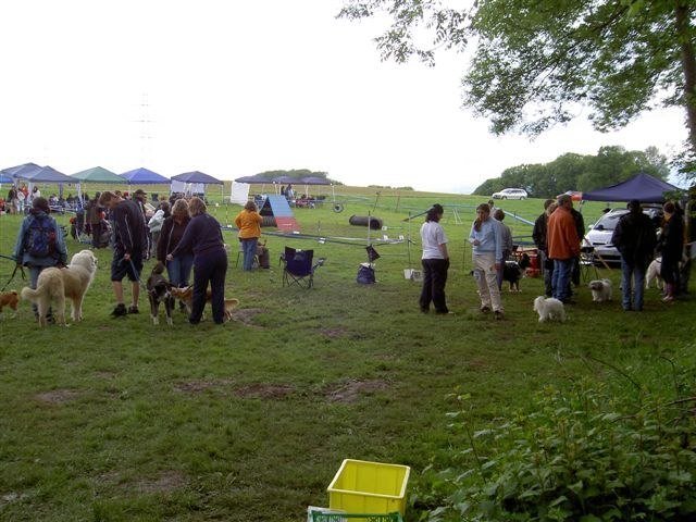 Concours agility Neuf Fontaines 2008 – photo 2