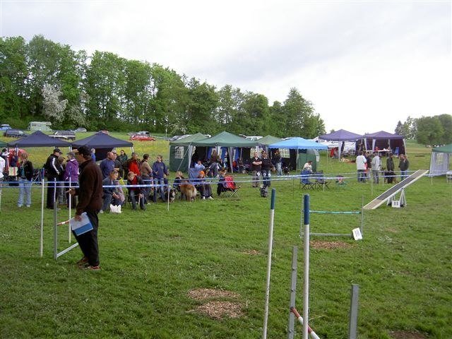 Concours agility Neuf Fontaines 2008 – photo 5