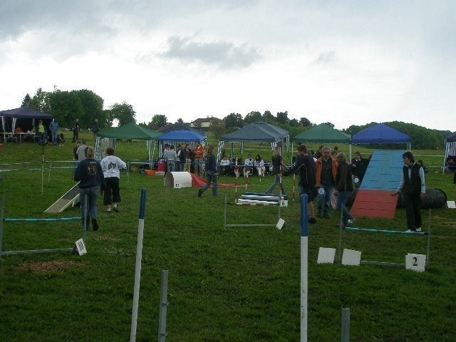 Concours agility Neuf Fontaines 2008 – photo 8