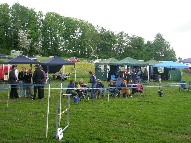 Concours agility Neuf Fontaines 2008 – photo 9