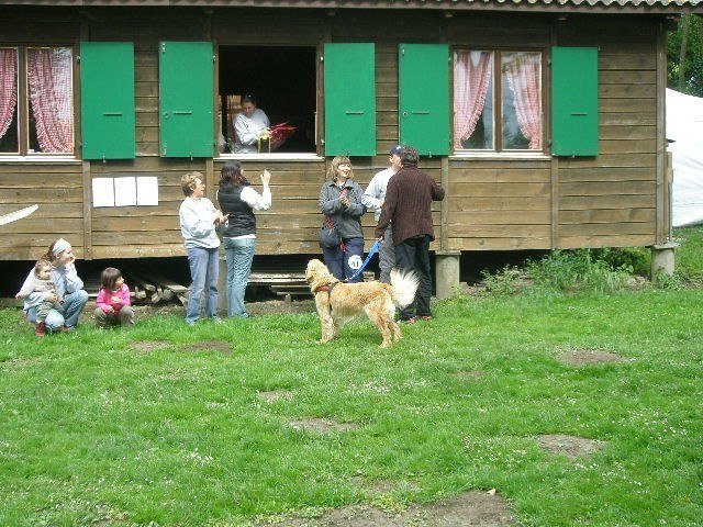 Concours agility Neuf Fontaines 2008 – photo 13