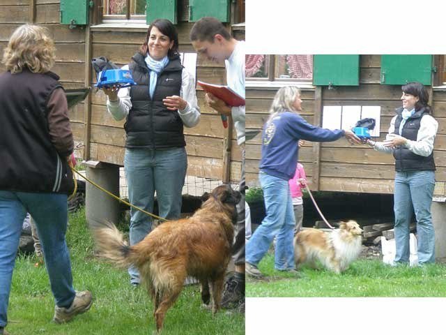 Concours agility Neuf Fontaines 2008 – photo 20