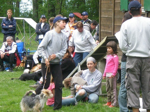 Concours agility Neuf Fontaines 2008 – photo 23