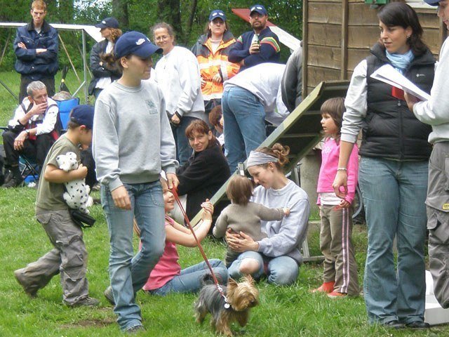 Concours agility Neuf Fontaines 2008 – photo 24