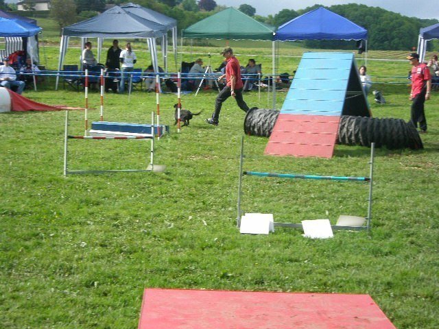 Concours agility Neuf Fontaines 2008 – photo 27