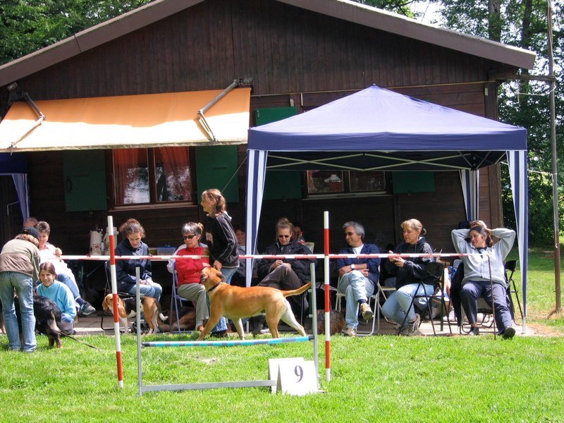 Divers 2005-2006 – photo 23