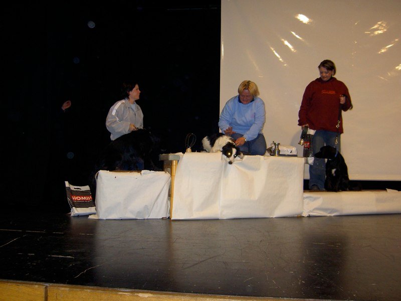 Divers 2005-2006 – photo 30
