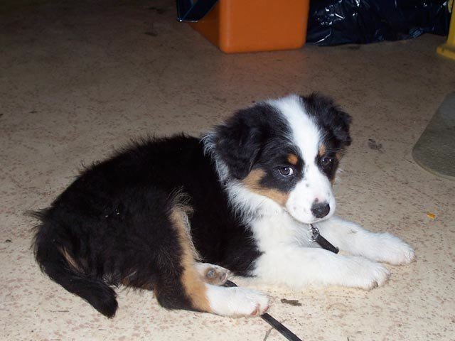 Divers 2005-2006 – photo 40