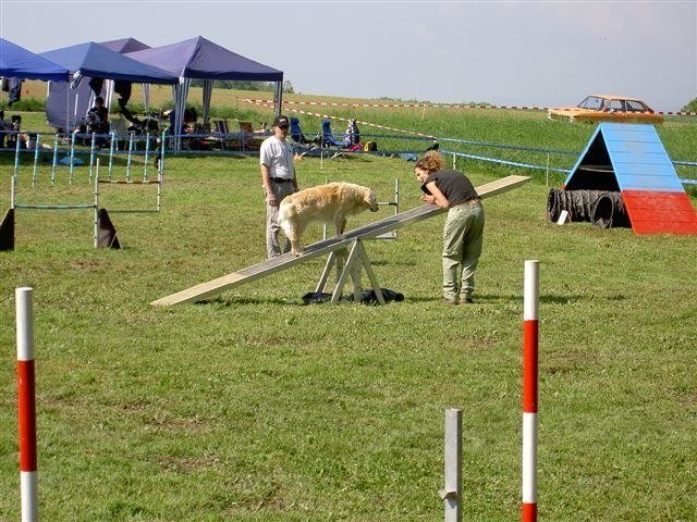 Concours Neuf Fontaines 2007 – photo 2