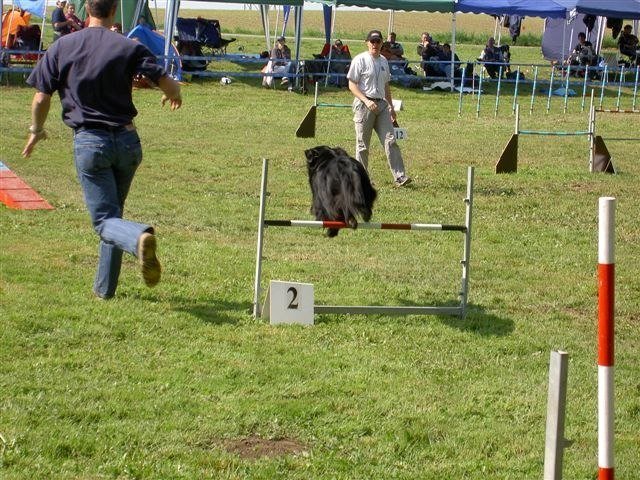 Concours Neuf Fontaines 2007 – photo 3