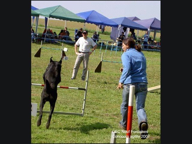 Concours Neuf Fontaines 2007 – photo 7