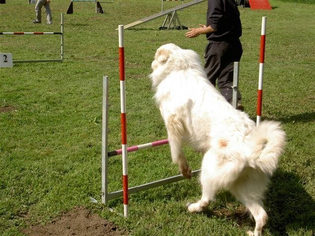 Concours Neuf Fontaines 2007 – photo 11