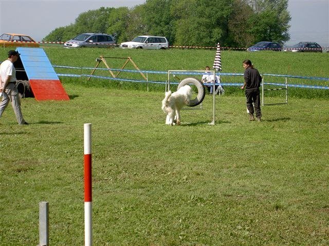Concours Neuf Fontaines 2007 – photo 12