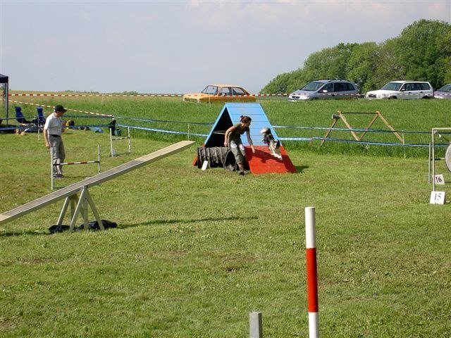 Concours Neuf Fontaines 2007 – photo 15