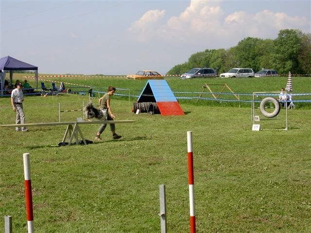 Concours Neuf Fontaines 2007 – photo 16