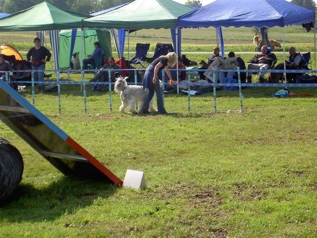 Concours Neuf Fontaines 2007 – photo 18