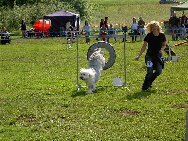 Concours Neuf Fontaines 2007 – photo 19