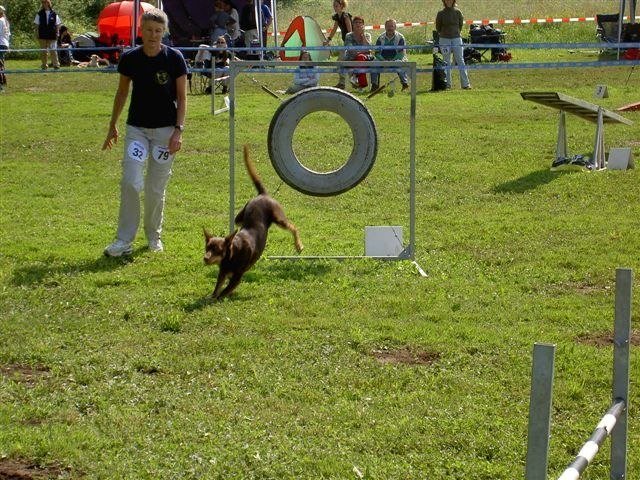 Concours Neuf Fontaines 2007 – photo 21