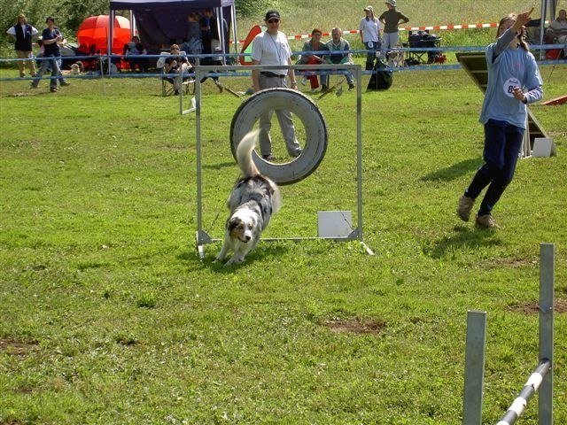 Concours Neuf Fontaines 2007 – photo 22