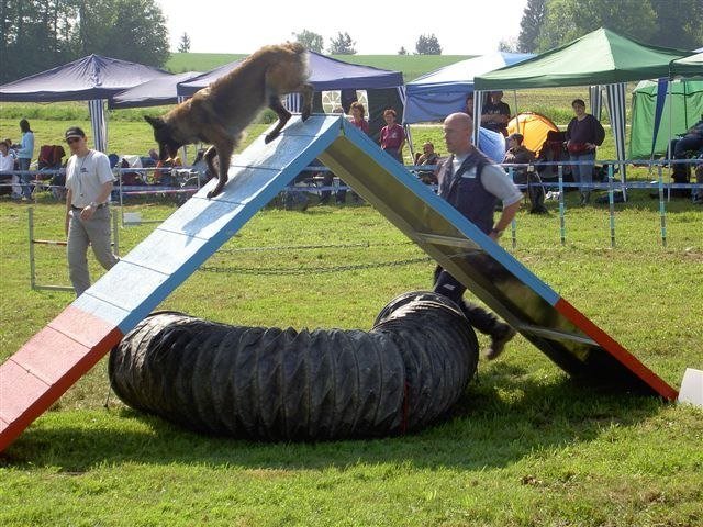 Concours Neuf Fontaines 2007 – photo 24