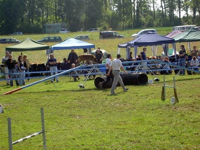 Concours Neuf Fontaines 2007 – photo 26