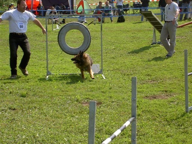 Concours Neuf Fontaines 2007 – photo 28