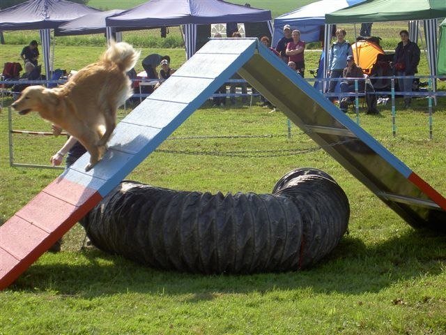 Concours Neuf Fontaines 2007 – photo 29
