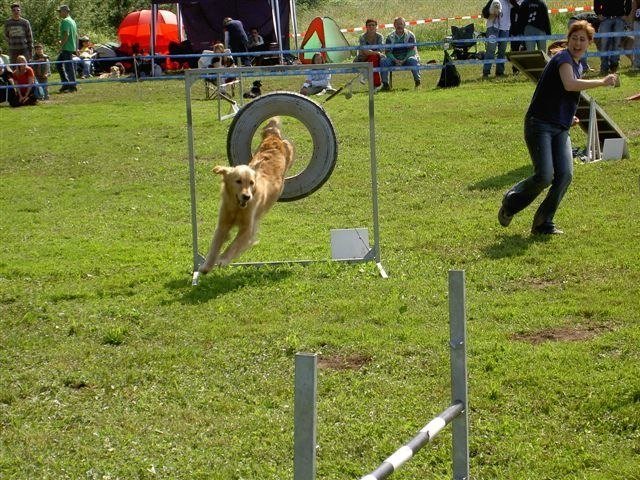 Concours Neuf Fontaines 2007 – photo 30