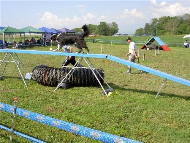 Concours Neuf Fontaines 2007 – photo 31